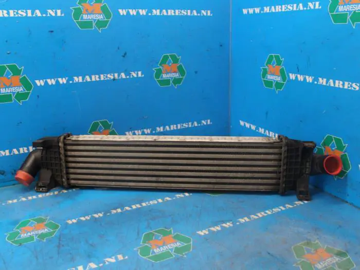 Intercooler Ford C-Max