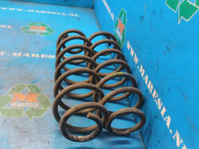 Rear coil spring Skoda Fabia