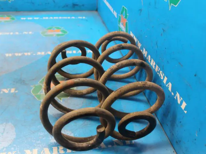 Rear coil spring Nissan Qashqai+2