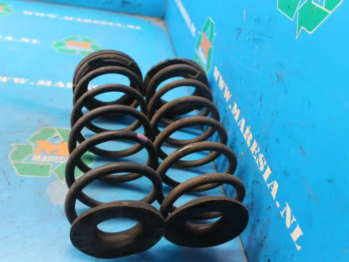 Rear coil spring Kia Picanto