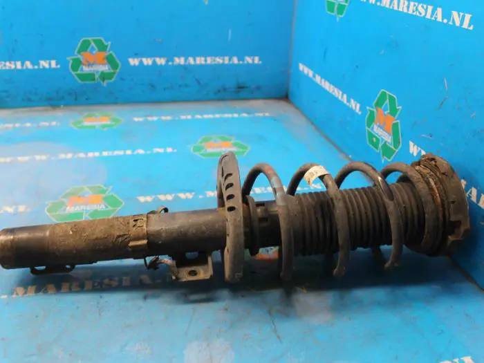 Front shock absorber rod, right Volkswagen Fox