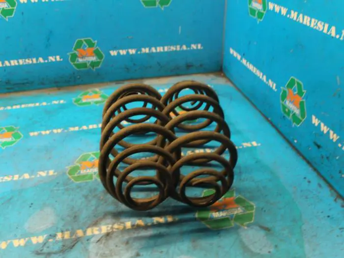 Rear coil spring Renault Kangoo