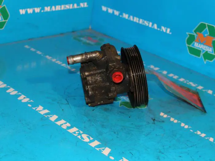 Power steering pump Seat Cordoba