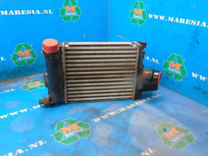 Intercooler Dacia Sandero