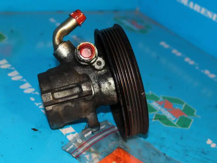 Power steering pump Ford Escort