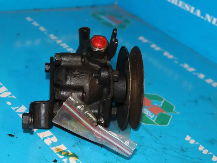 Power steering pump Ford Escort