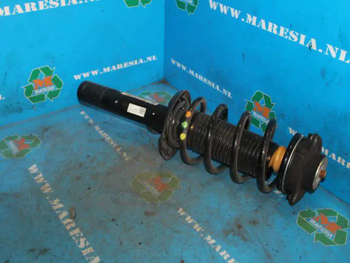 Front shock absorber rod, left Volkswagen Passat