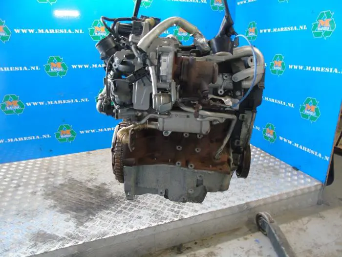 Motor Renault Clio