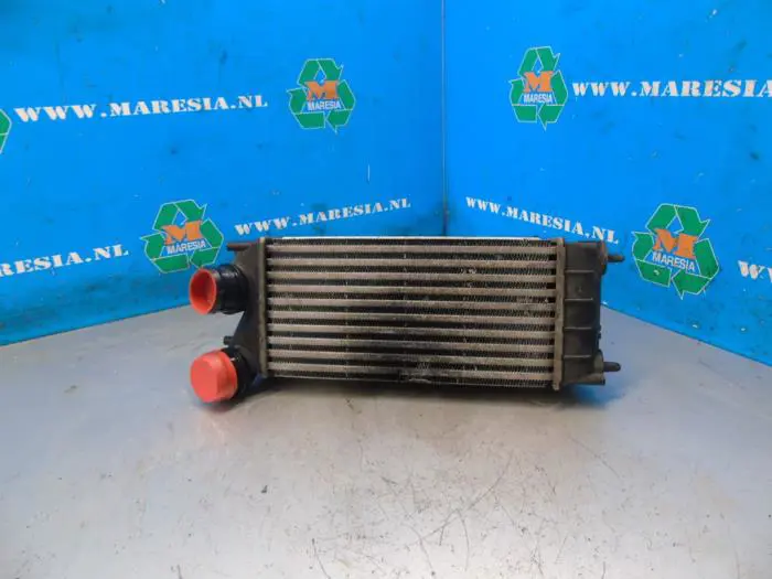 Intercooler Peugeot Partner