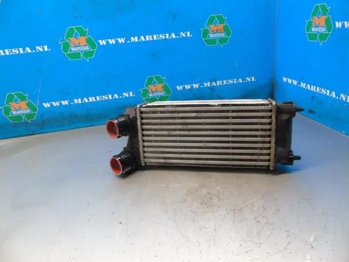 Intercooler Peugeot Partner