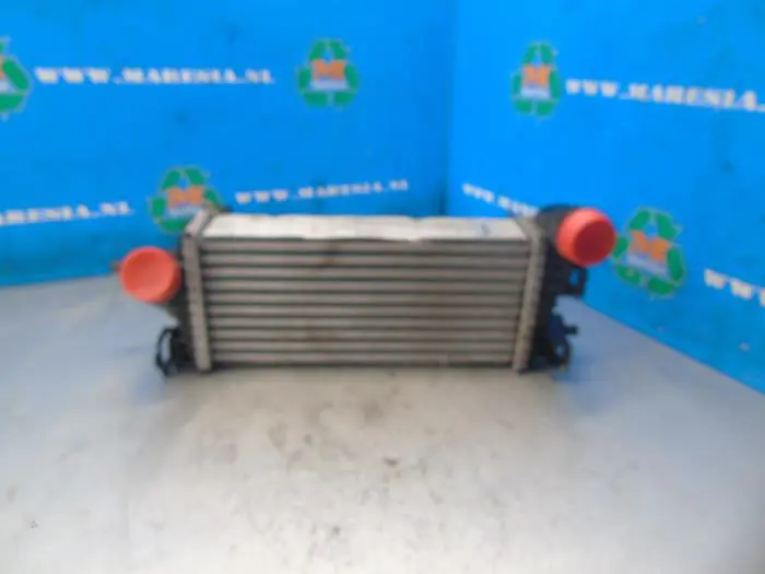 Intercooler Ford Focus