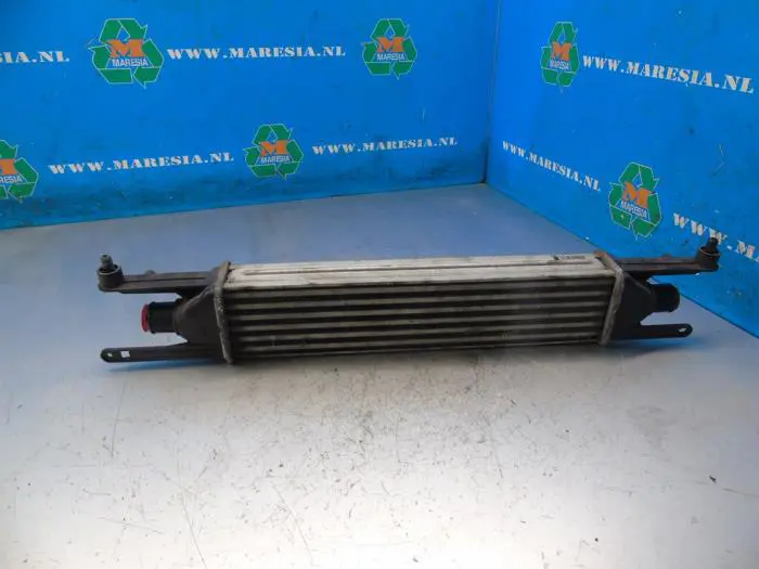 Intercooler Fiat Punto Evo