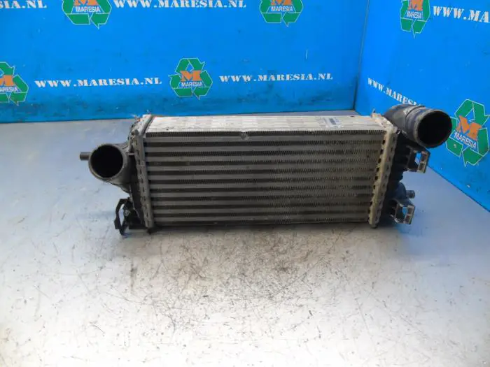 Intercooler Ford C-Max