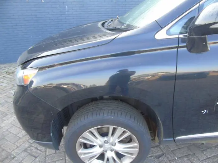 Scherm links-voor Lexus RX