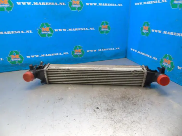 Intercooler Opel Astra