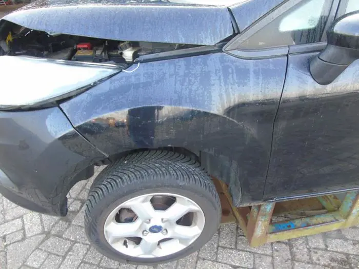 Scherm links-voor Ford Fiesta