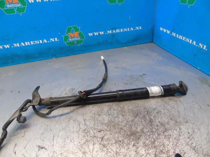 Rear gas strut, left Toyota Rav-4