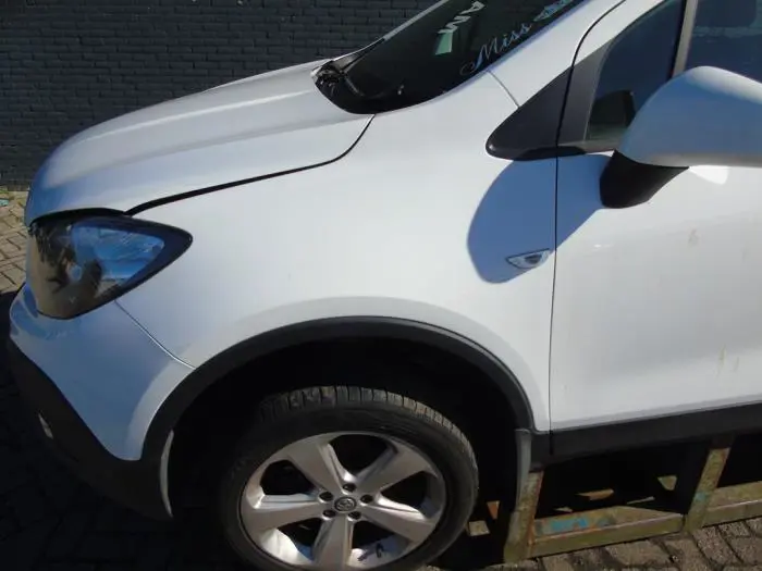 Scherm links-voor Opel Mokka