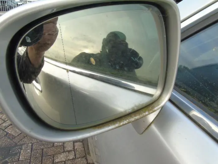 Wing mirror, left Lexus LS 600H