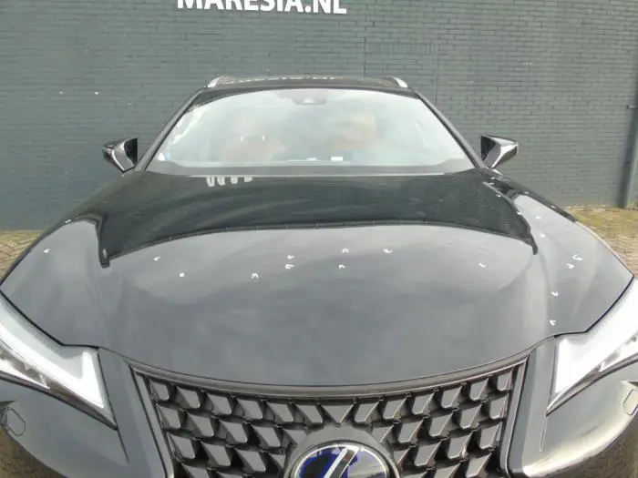 Bonnet Lexus UX