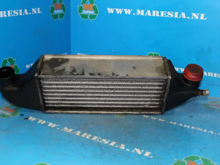 Intercooler Ford Focus