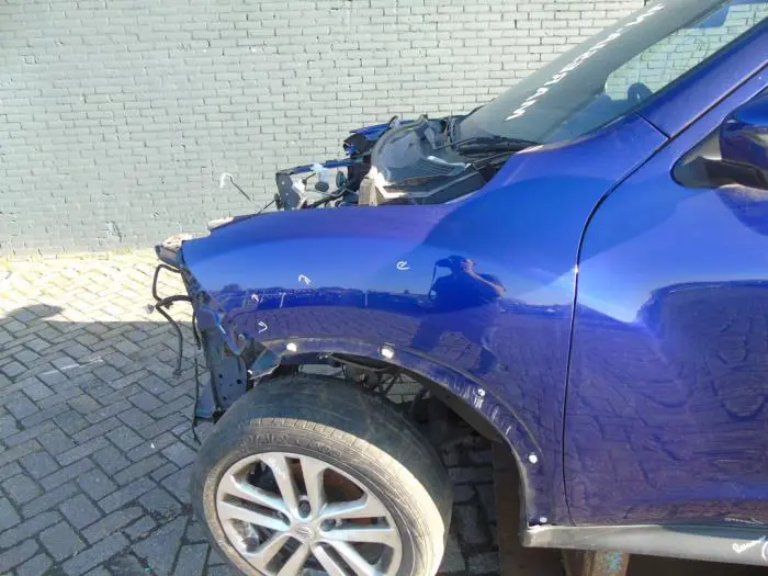 Scherm links-voor Nissan Juke