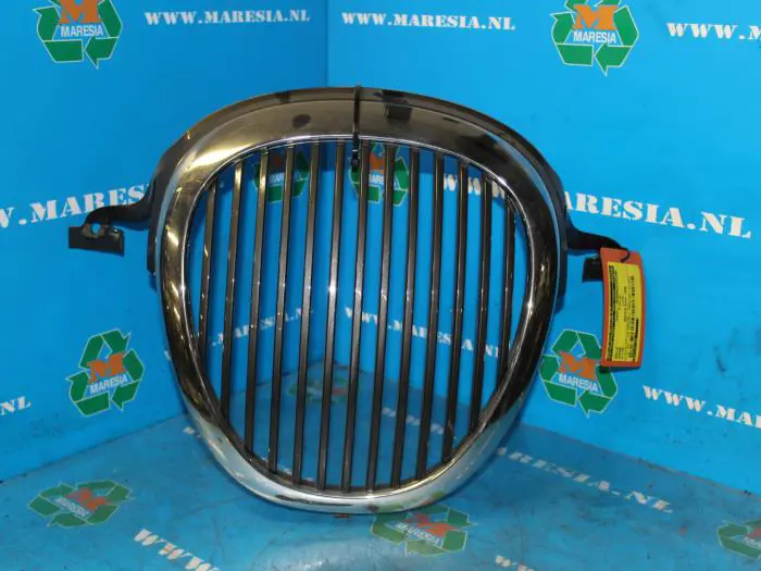 Grille Jaguar S-Type