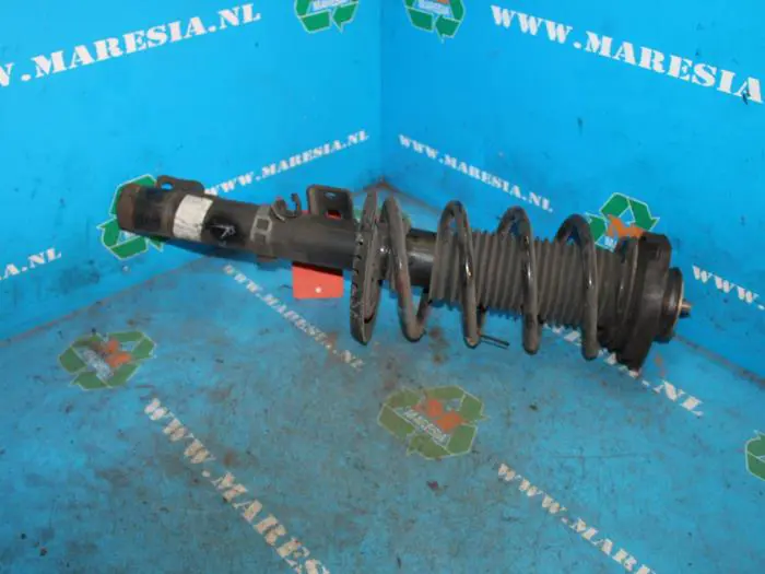 Front shock absorber rod, right Volkswagen Fox