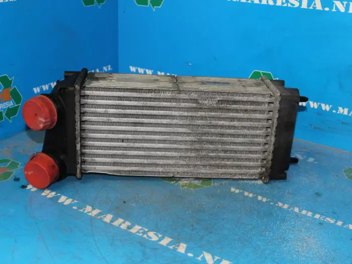 Intercooler Peugeot 307