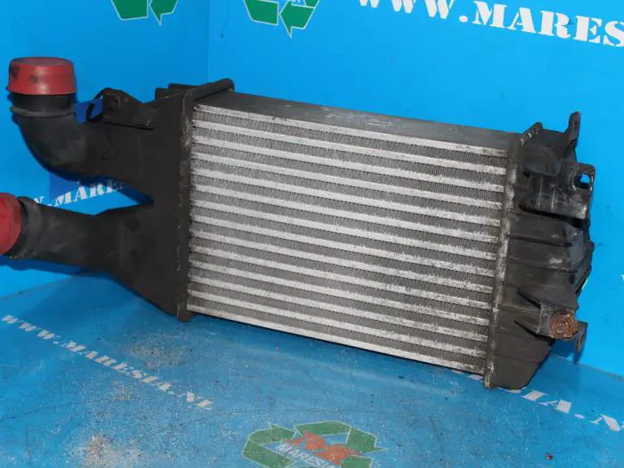 Intercooler Opel Astra