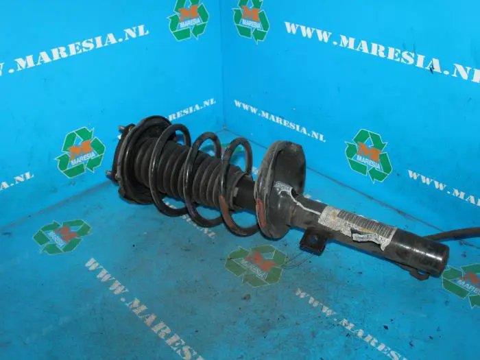 Front shock absorber rod, right Ford Focus