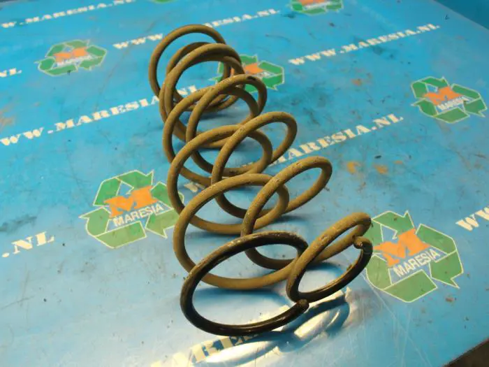 Rear coil spring Chevrolet Aveo