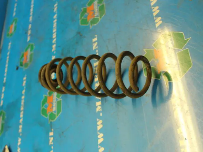 Rear coil spring Volkswagen Polo