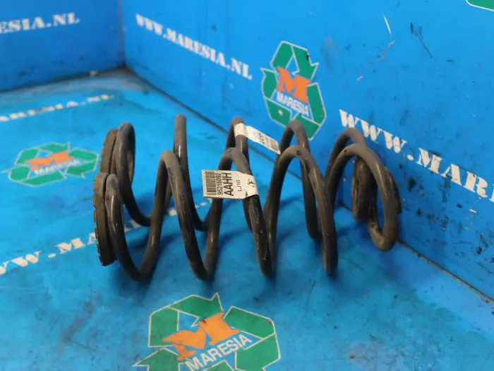 Rear coil spring Chevrolet Aveo